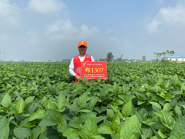 鄭1307河南基地